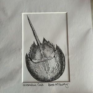 Beautiful pen and ink stippling design of a horseshoe crab